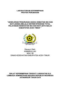 Akselerasi Penurunan Angka Kematian Ibu dan Bayi (Akiba) Melalui Sistem Integrasi Total Pelayanan Kesehatan Ibu dan Bayi (SITO IBA) Di Kabupaten Aceh Timur (Dinas Kesehatan)